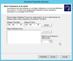 Adresse DHCP d'exclusion