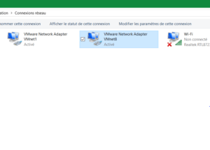 VMware Network Adapter VMnet8 windows